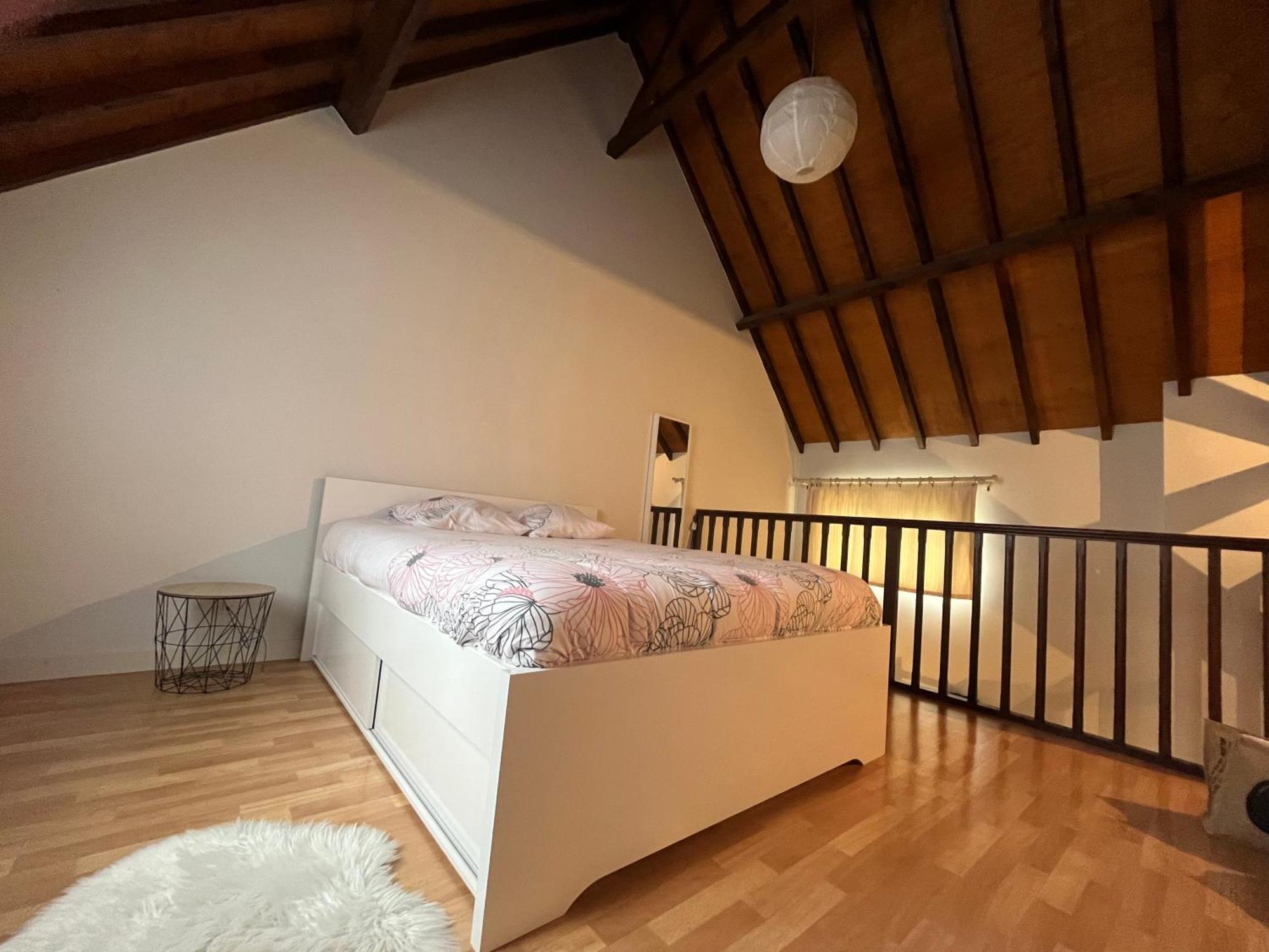 Le Mortier D'Or Duplex Hyper Centre Ville Troyes Dış mekan fotoğraf